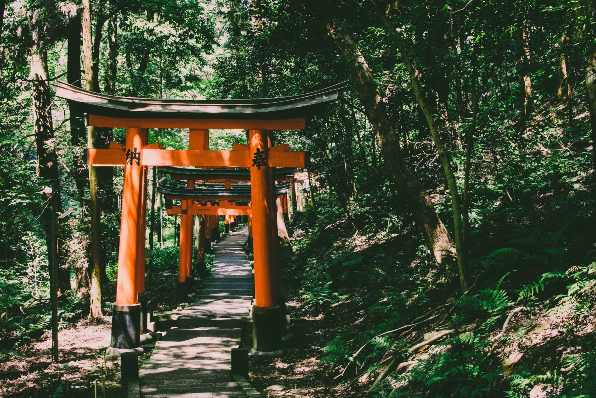 best tour places in japan